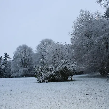德柏特李威乐城堡酒店 3*